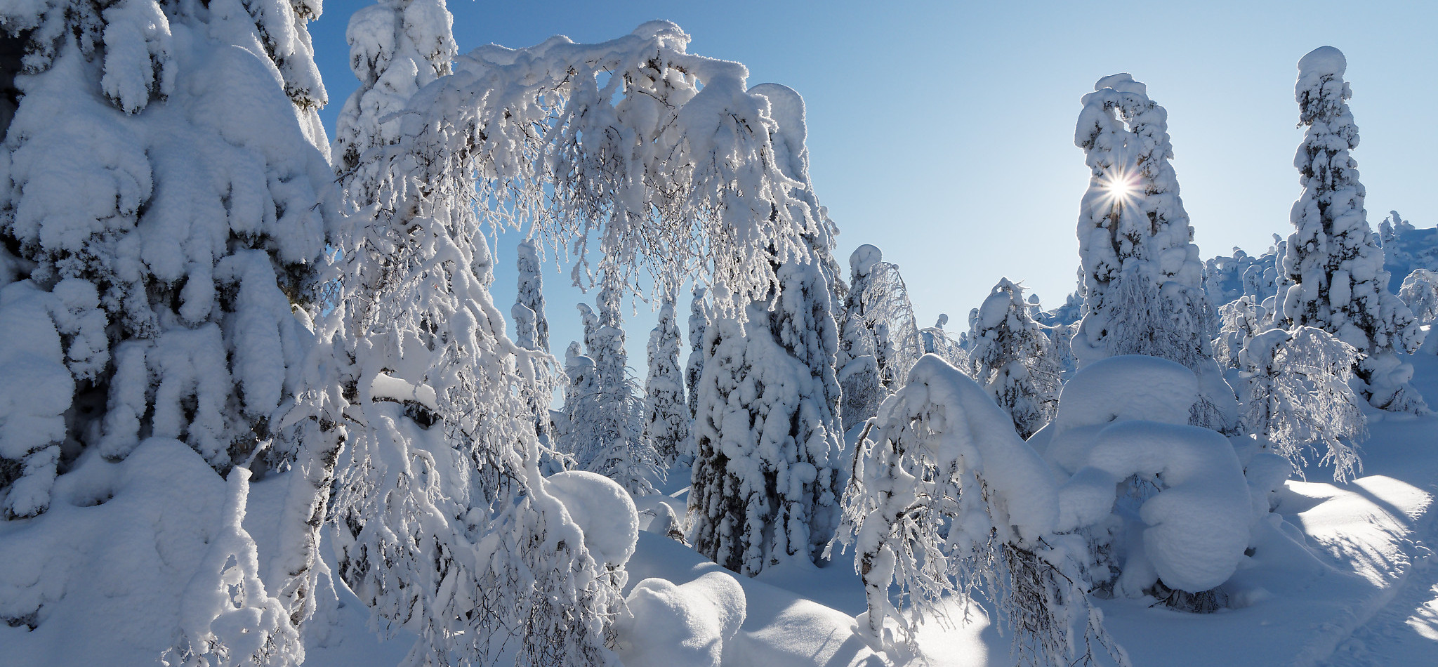 Winterlandschaft